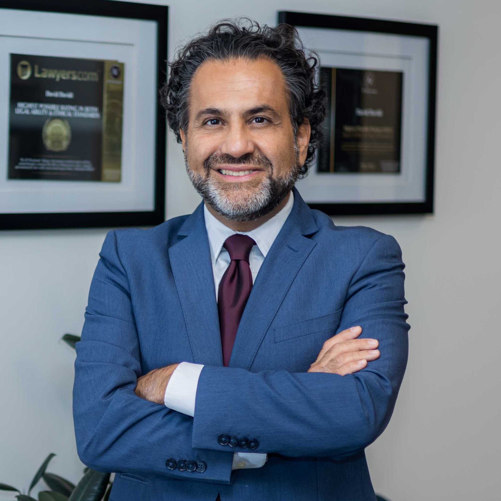 David Davidi, attorney